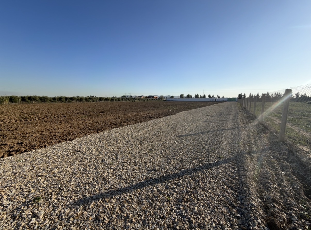 Sidi Thabet&nbsp;Chorfech&nbsp;Terrain&nbsp;Terrain agricole&nbsp;1 hectare et 6000 m2 � 35d le m�tre