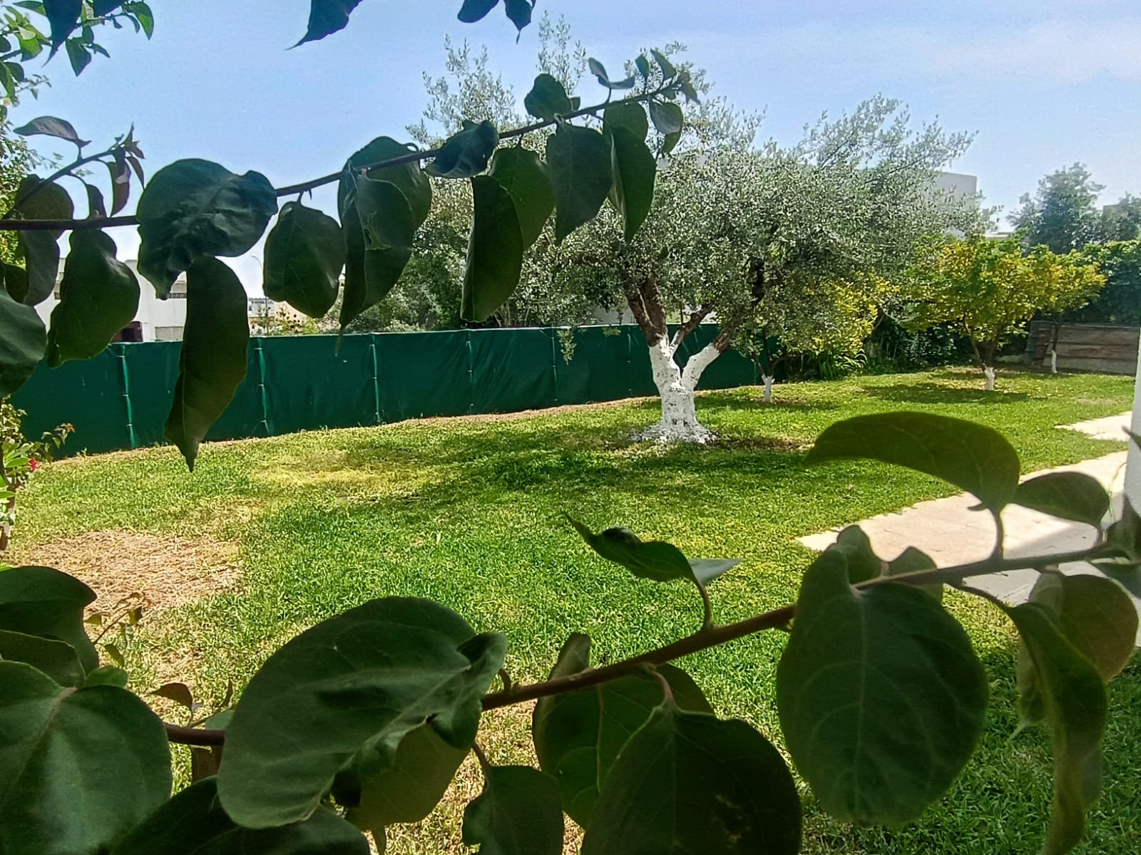 El Menzah&nbsp;El Menzah 9&nbsp;Vente&nbsp;Maisons&nbsp;Villa 3 niveaux s�par�s 697m2 el menzah 7