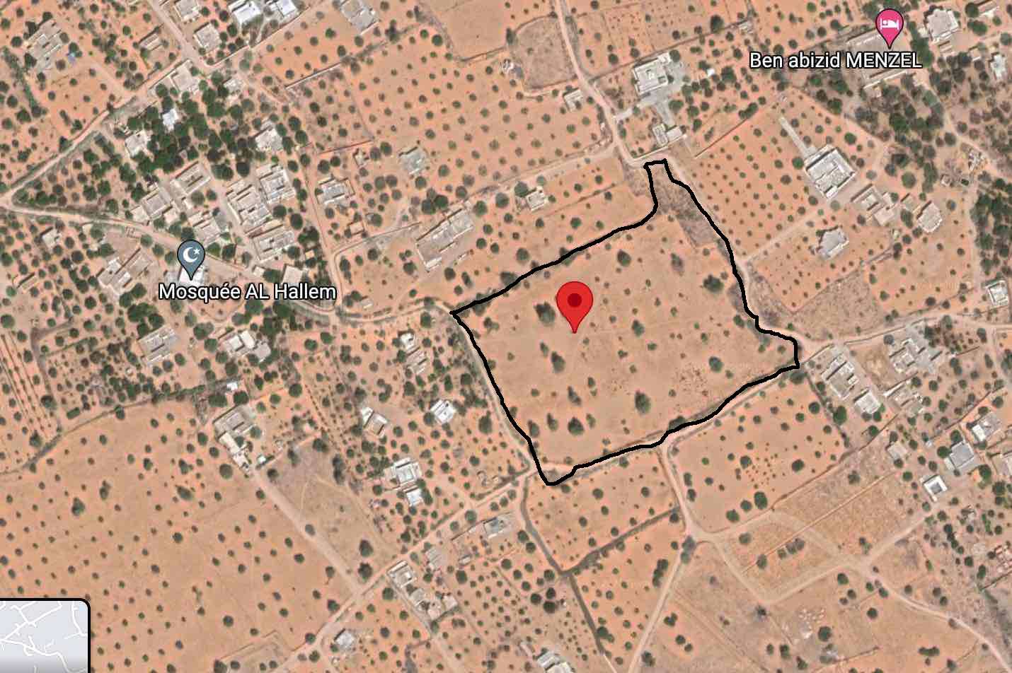 Djerba - Houmet Essouk&nbsp;Sedghiane&nbsp;Terrain&nbsp;Terrain agricole&nbsp;3 hectares a jerba