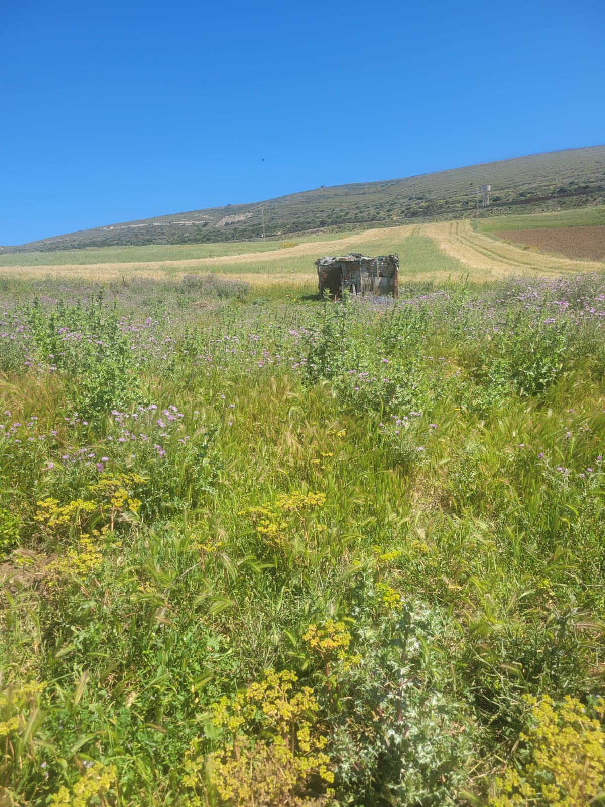 Bizerte Sud&nbsp;Methline&nbsp;Terrain&nbsp;Terrain nu&nbsp;Terrain �  m�thline bizerte