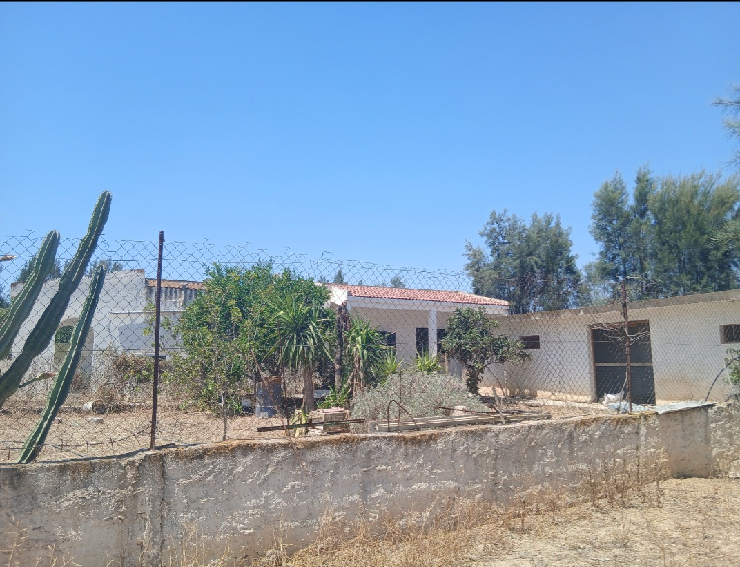 Zaghouan&nbsp;Zaghouan&nbsp;Terrain&nbsp;Terrain agricole&nbsp;Ferme agricole de 10 hectares avec 1 500 oliviers