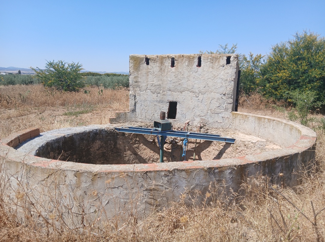 Zaghouan&nbsp;Zaghouan&nbsp;Terrain&nbsp;Terrain agricole&nbsp;Ferme agricole de 10 hectares avec 1 500 oliviers