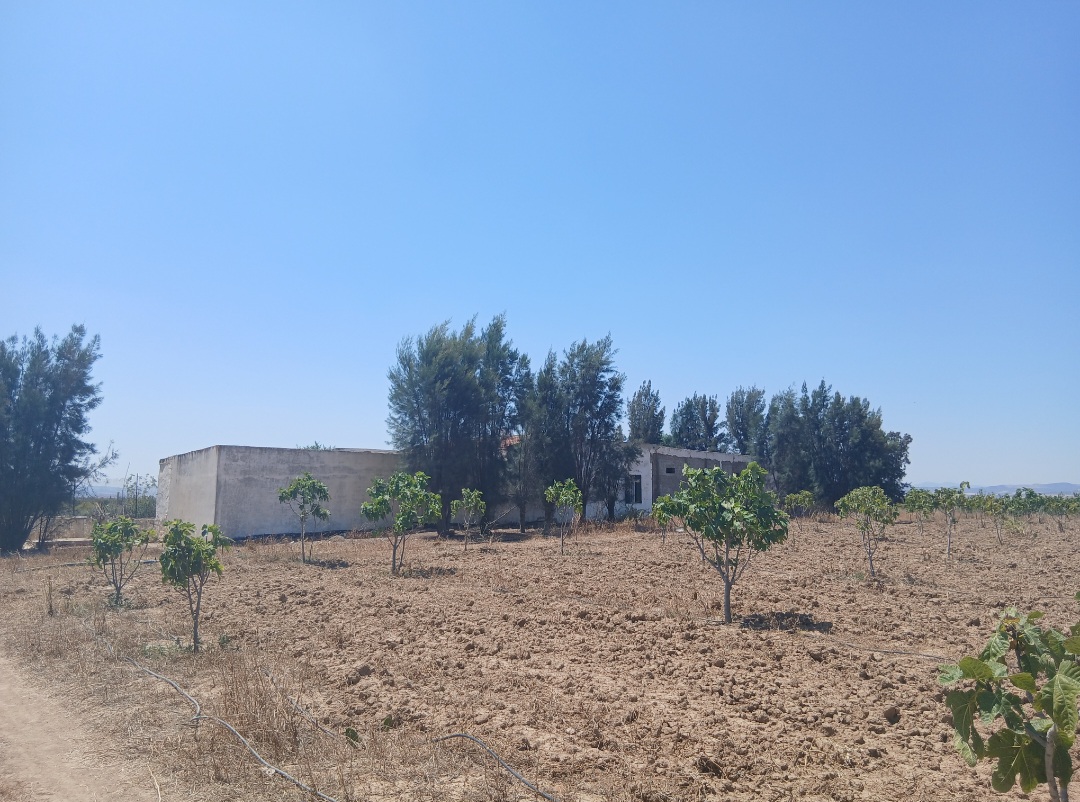 Zaghouan&nbsp;Zaghouan&nbsp;Terrain&nbsp;Terrain agricole&nbsp;Ferme agricole de 10 hectares avec 1 500 oliviers