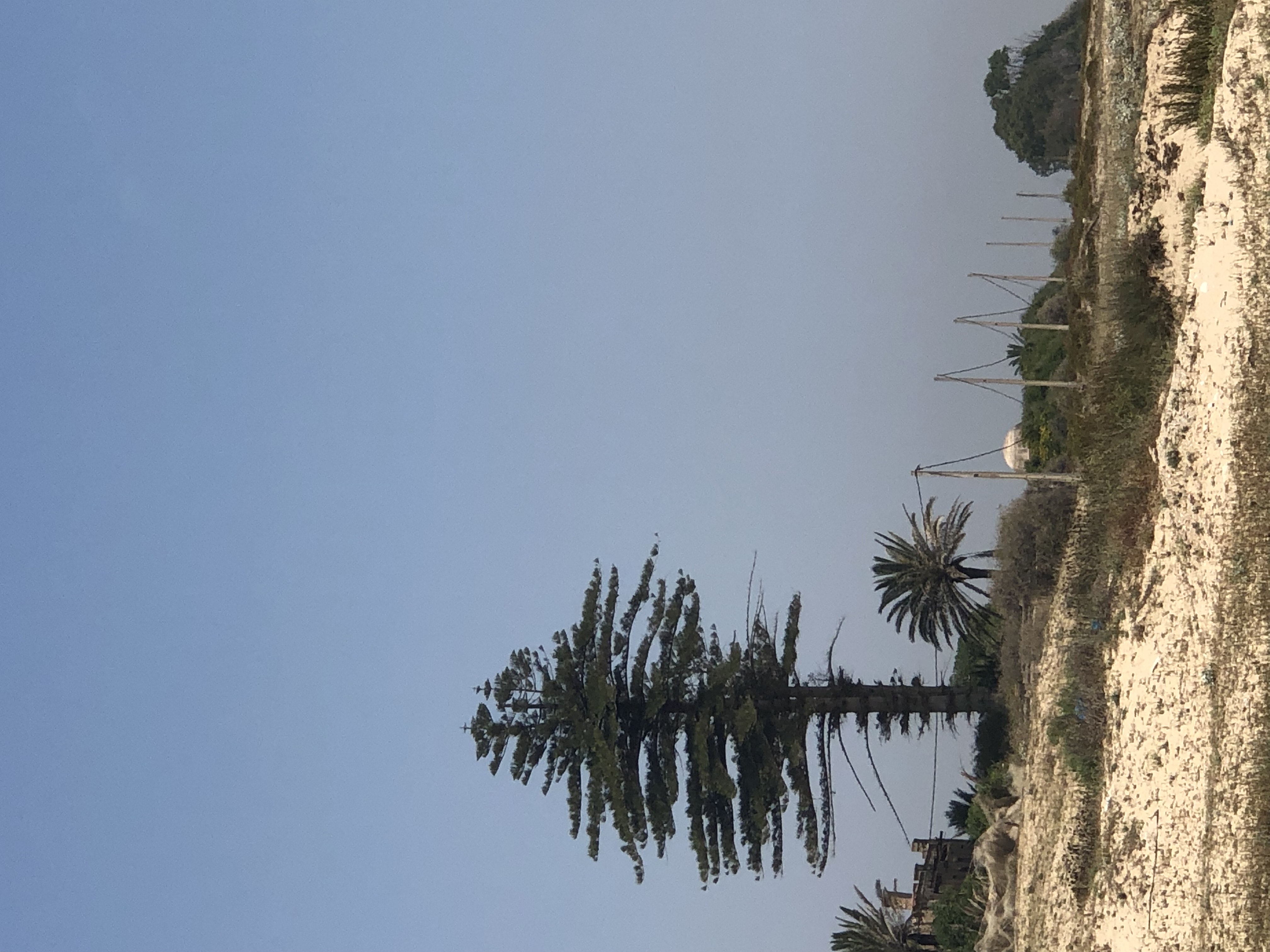 Ezzahra&nbsp;Ezzahra&nbsp;Terrain&nbsp;Terrain nu&nbsp;Les 3 derniers lots disponibles � ezzahra