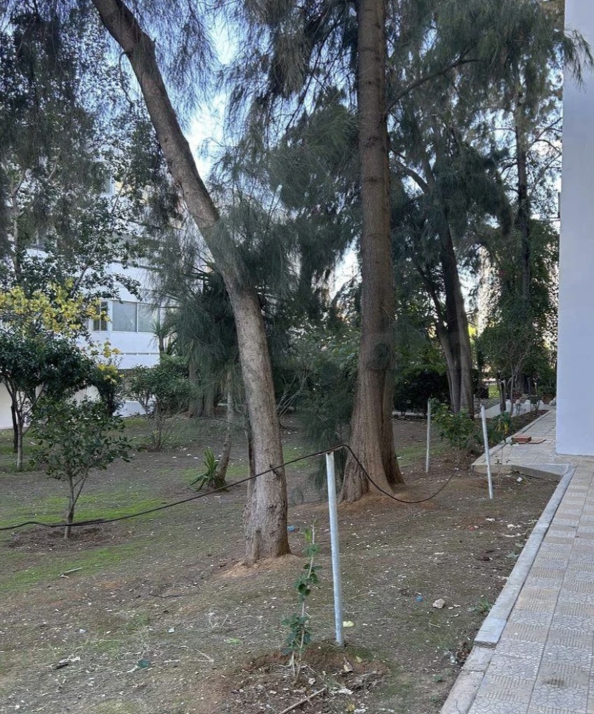 El Menzah&nbsp;El Manar 2&nbsp;Location&nbsp;Appart. 5 pi�ces+&nbsp;Bureau s plus 6 � manar 2