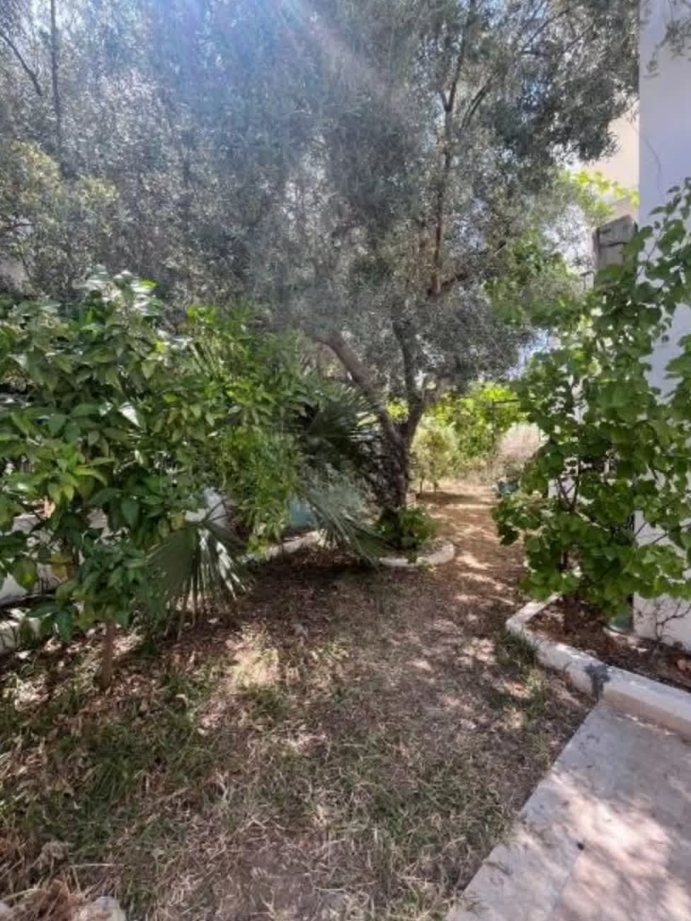 Ariana Ville&nbsp;Cite Ennasr 2&nbsp;Location&nbsp;Appart. 5 pi�ces+&nbsp;Ennasr 2 spacieux appt s4 avec terrasse