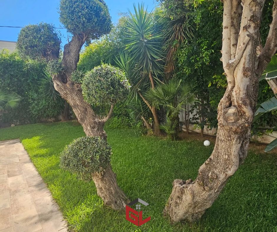 El Menzah&nbsp;El Menzah 1&nbsp;Location&nbsp;Maisons&nbsp;Villa meubl�e � menzah 1