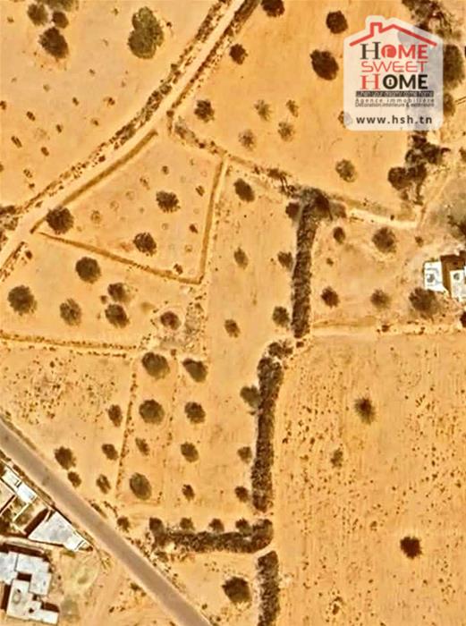 Djerba - Midoun&nbsp;Aghir&nbsp;Terrain&nbsp;Terrain agricole&nbsp;Terrain agricole aghir � djerba