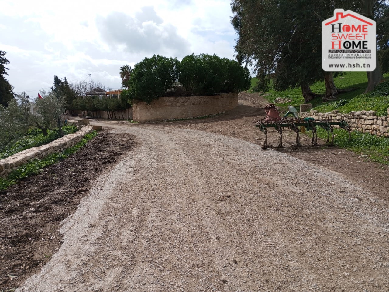 Beja Nord&nbsp;Beja&nbsp;Terrain&nbsp;Terrain agricole&nbsp;Terrain agricole zaya � dougga