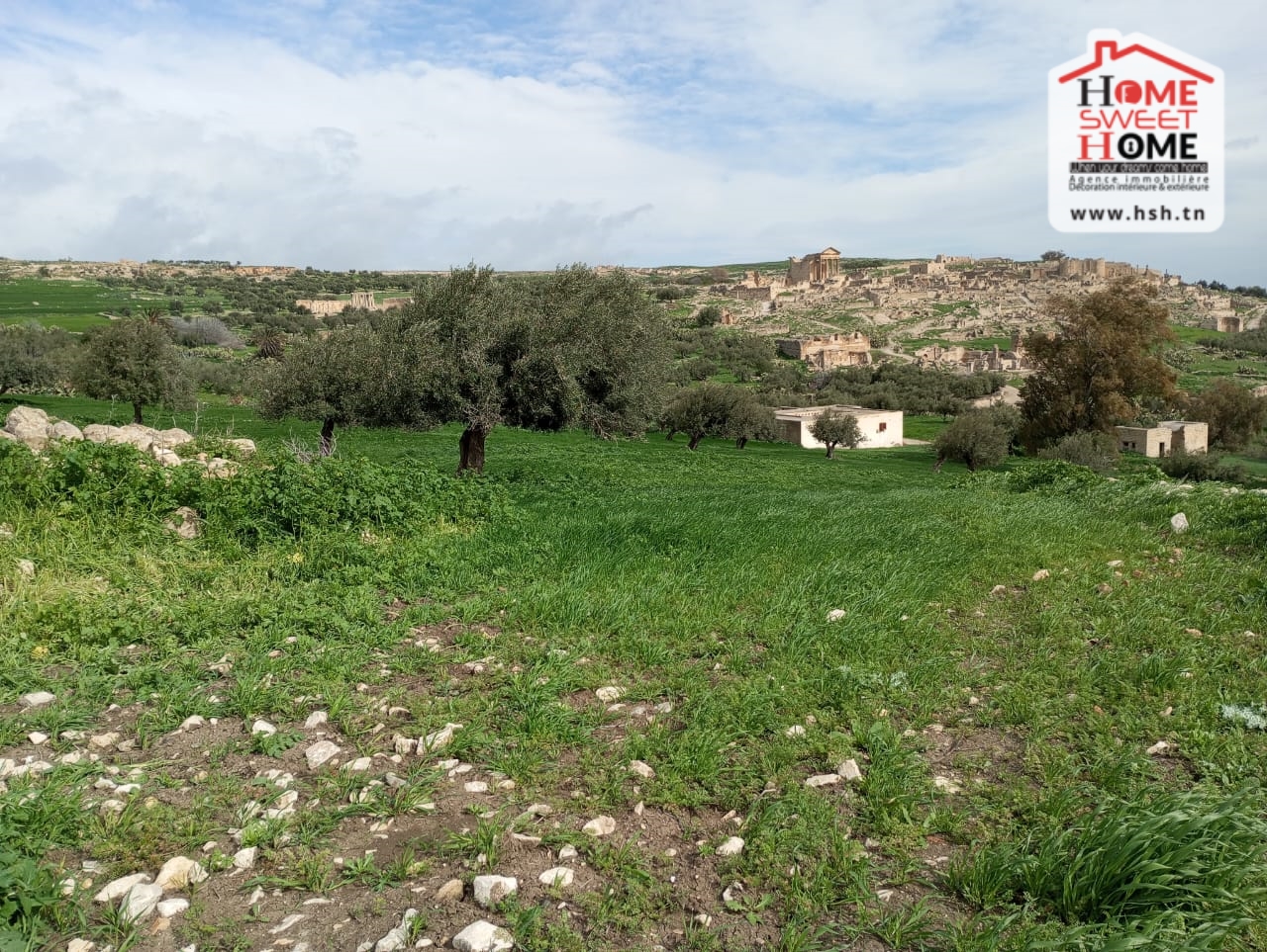 Beja Nord&nbsp;Beja&nbsp;Terrain&nbsp;Terrain agricole&nbsp;Terrain agricole zaya � dougga