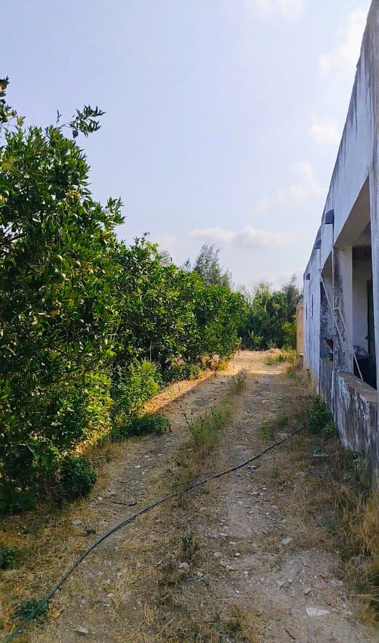 Menzel Bouzelfa&nbsp;Menzel Bouzelfa&nbsp;Terrain&nbsp;Terrain agricole&nbsp;Ferme � bouzelfa