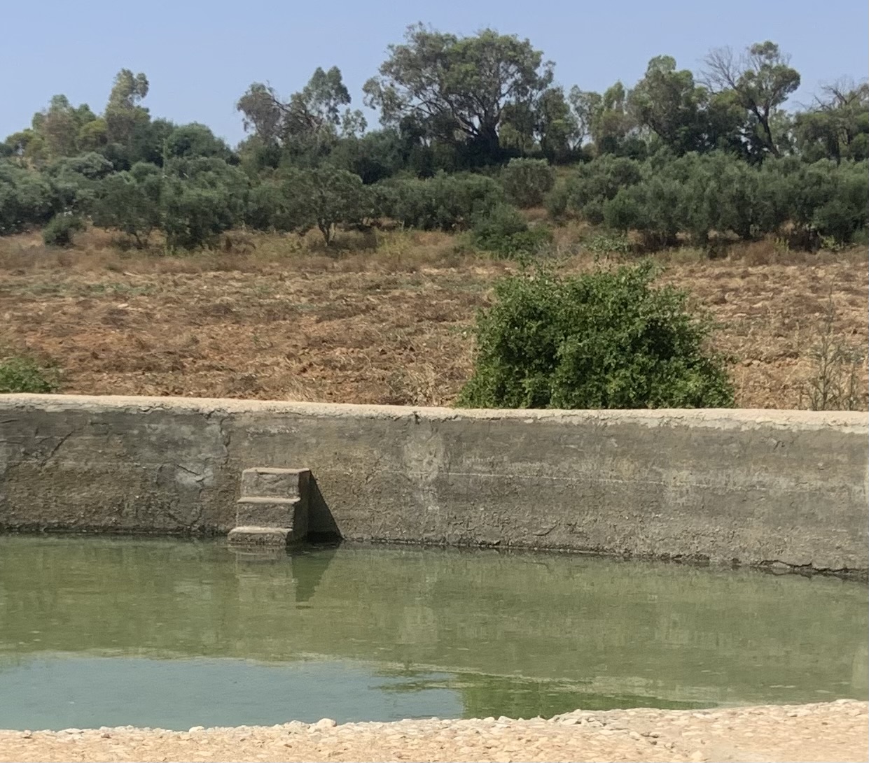 Korba&nbsp;Jebel Haddad&nbsp;Location&nbsp;Surfaces&nbsp;Terrain agricole 3 hectares avec puits et bassin