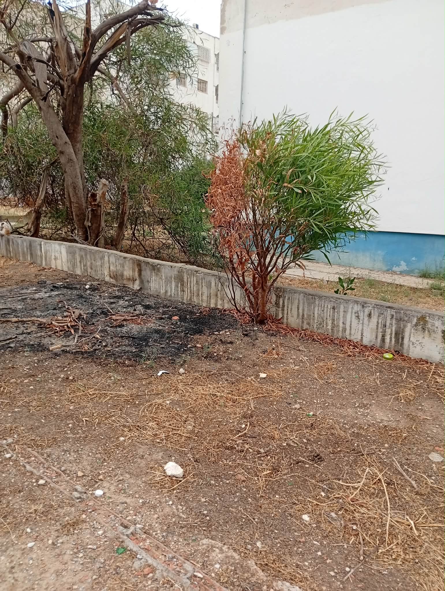 El Mourouj&nbsp;El Mourouj&nbsp;Location&nbsp;Appart. 3 pi�ces&nbsp;Appartement mourouj 1