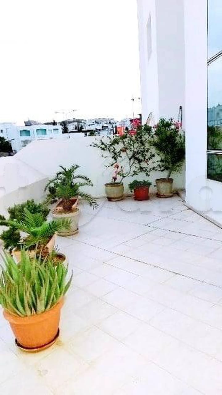 Ariana Ville&nbsp;Cite Ennasr 2&nbsp;Location&nbsp;Appart. 3 pi�ces&nbsp;A l'ann�e apt s2 excellent �tat et emplacement
