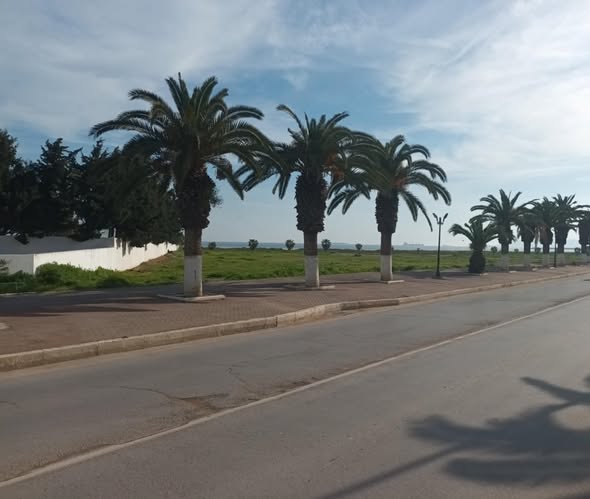 Bizerte Nord&nbsp;Bizerte&nbsp;Location&nbsp;Maisons&nbsp;Un bel appartement meubl� � sidi salem bizerte
