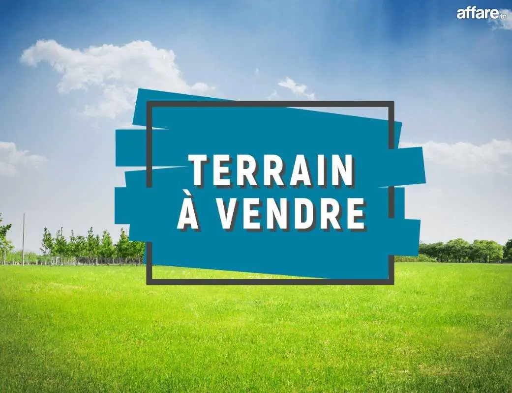 Bizerte Nord&nbsp;Bizerte&nbsp;Vente&nbsp;Surfaces&nbsp;Un terrain titr� situ� � cit� el waha bizerte
