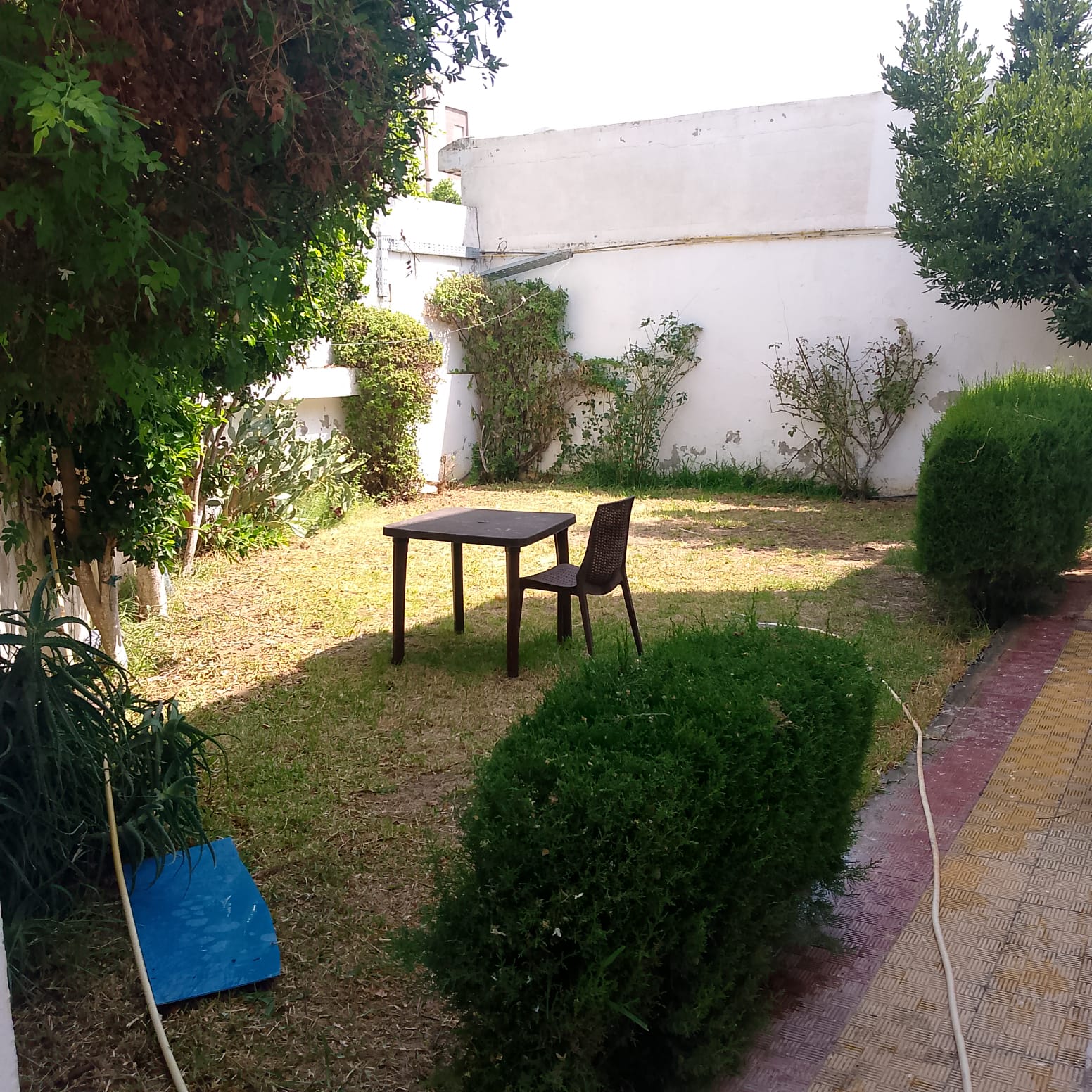 Mnihla&nbsp;Jardins d'el Menzah&nbsp;Location&nbsp;Maisons&nbsp;Une mignonne villa s3 � jardin d'elmenzah2