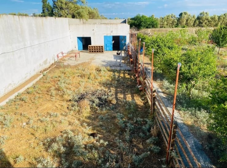 Soliman&nbsp;Soliman&nbsp;Terrain&nbsp;Terrain agricole&nbsp;Ferme direct du proprietaire