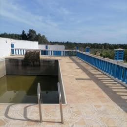 Soliman&nbsp;Soliman&nbsp;Terrain&nbsp;Terrain agricole&nbsp;Ferme direct du proprietaire