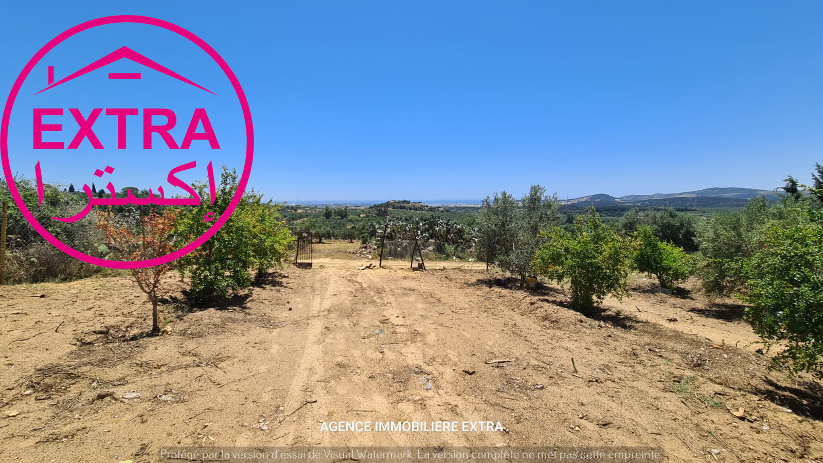 Nabeul&nbsp;Henchir El Haouaria&nbsp;Terrain&nbsp;Terrain agricole&nbsp;Campagne  a hwaria de nabeul