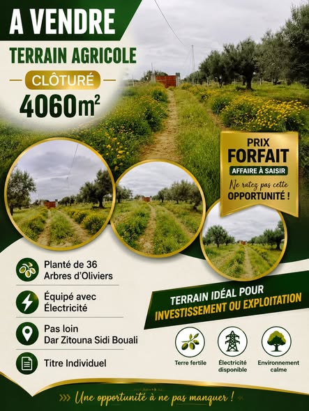 Sidi Bou Ali&nbsp;Sidi Bou Ali&nbsp;Terrain&nbsp;Terrain agricole&nbsp;Terrain 4060m pas loin dar zitouna � sidi bouali