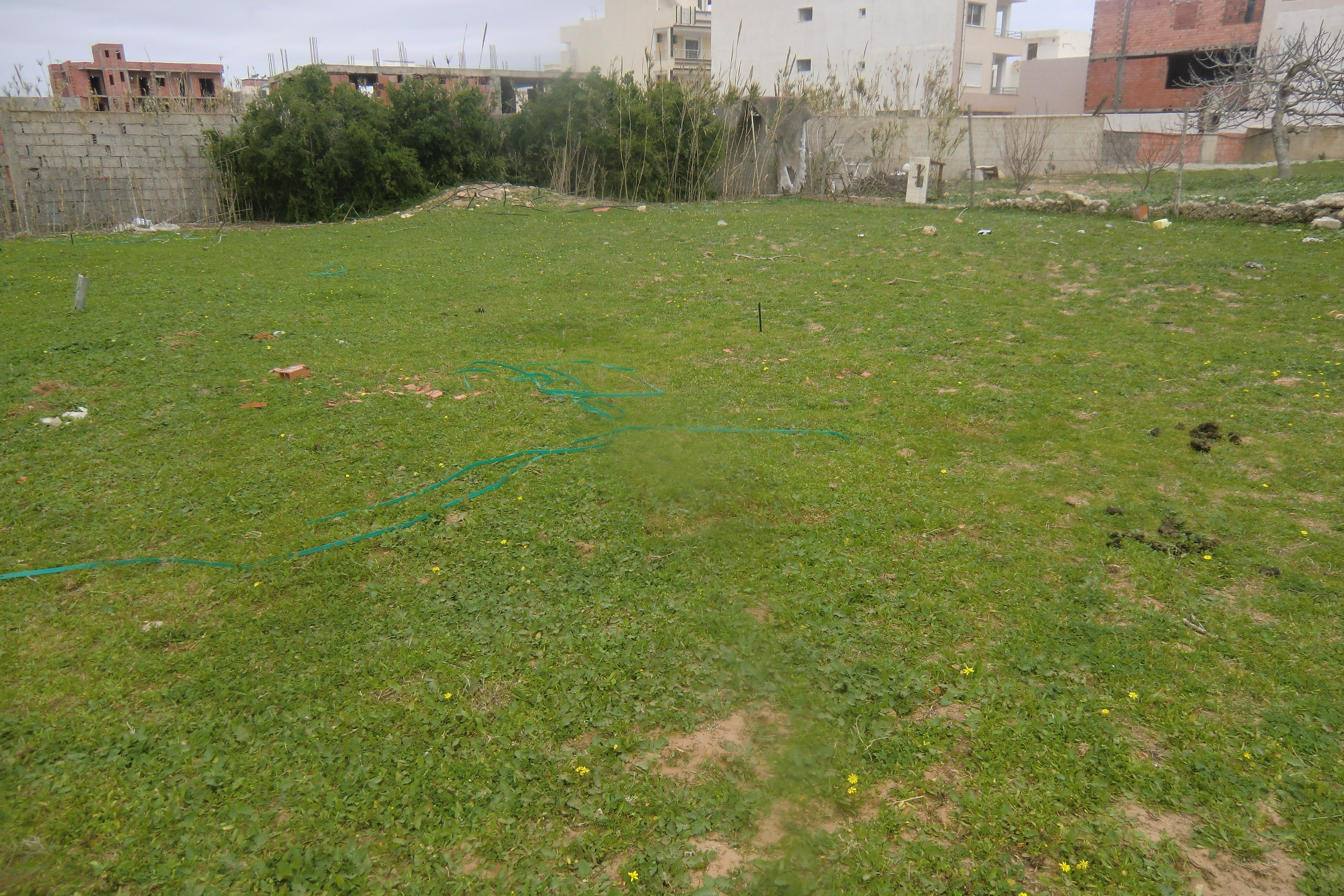 Kelibia&nbsp;Dar Allouche&nbsp;Terrain&nbsp;Terrain nu&nbsp;Lot de terrain 200m2 seulement a 20000 dt