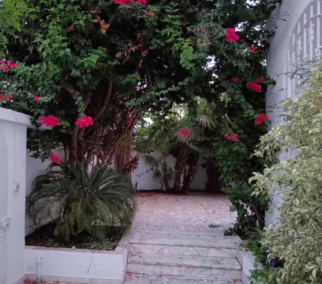 Carthage&nbsp;Carthage&nbsp;Location&nbsp;Maisons&nbsp;Villa meubl�e avec studio carthage port punique