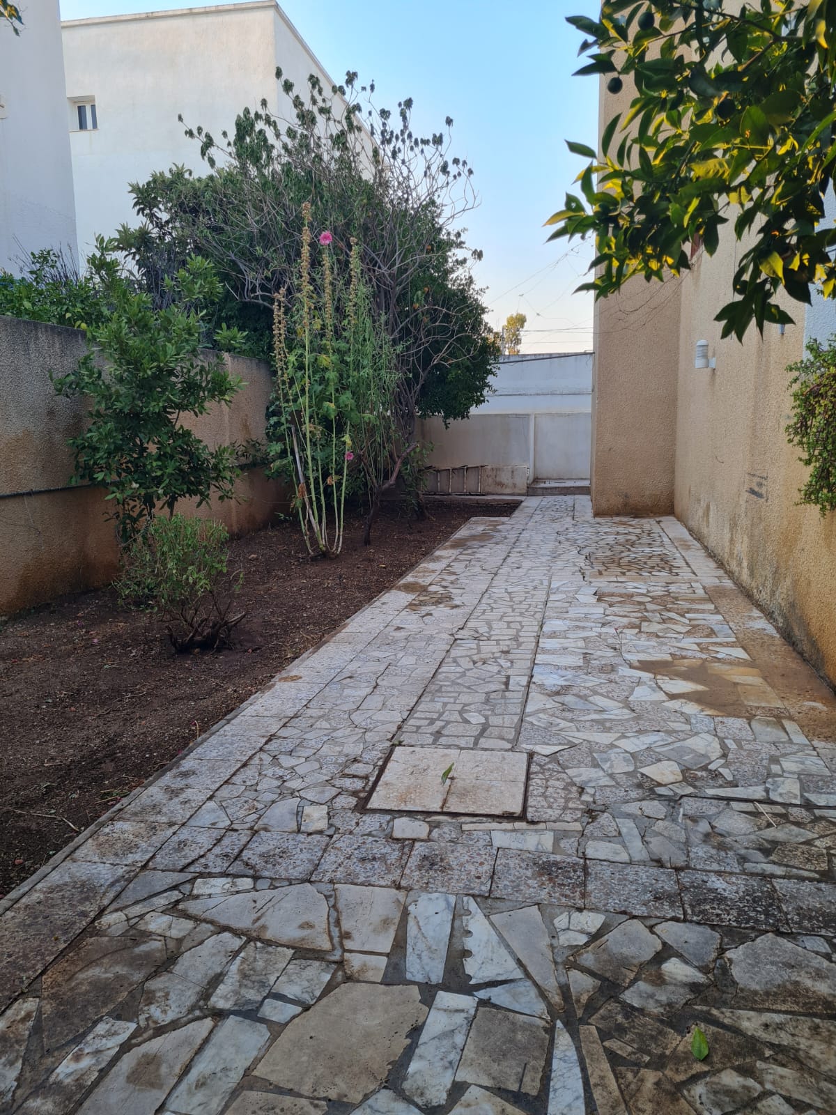 Mannouba&nbsp;La Mannouba&nbsp;Vente&nbsp;Maisons&nbsp;Villa et 2 studio s1  cartier tr�s priv� et pris�