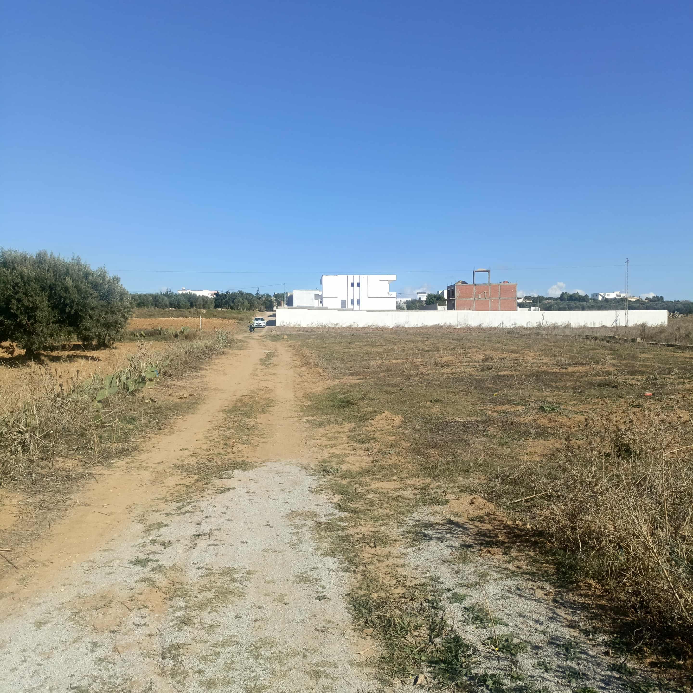 Hammamet&nbsp;Hammamet&nbsp;Terrain&nbsp;Terrain nu&nbsp;Av 340m � hammamet sud