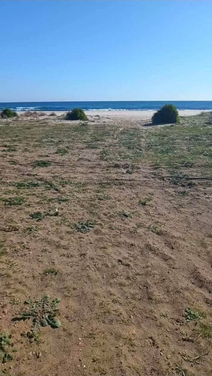 Kelibia&nbsp;Dar Allouche&nbsp;Terrain&nbsp;Terrain nu&nbsp;Terrain de 1000m2 au cap bon
