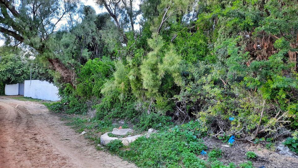 Ras Jebel&nbsp;Ras Jebel&nbsp;Vente&nbsp;Maisons&nbsp;Terrain  � 700 m de rue  route plage ras jbal