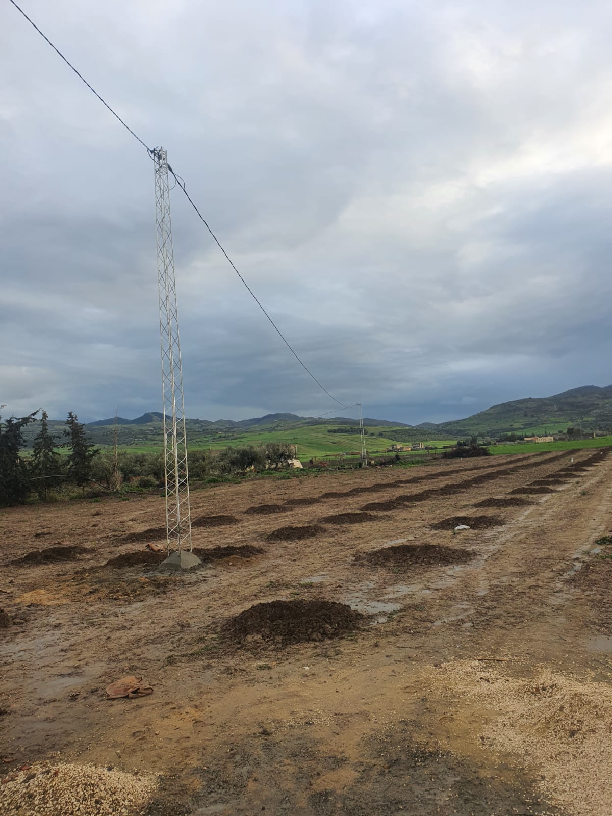 Bou Salem&nbsp;Badrouna&nbsp;Vente&nbsp;Autre&nbsp;Ferme � jandouba