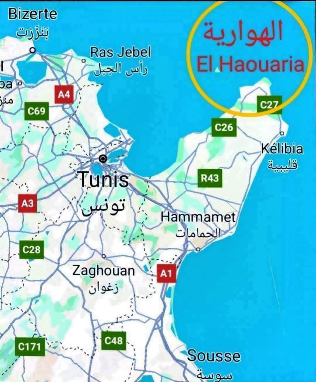 El Haouaria&nbsp;Sidi Daoud&nbsp;Vente&nbsp;Maisons&nbsp;Villa ds 1000m2 pr�s de la mer