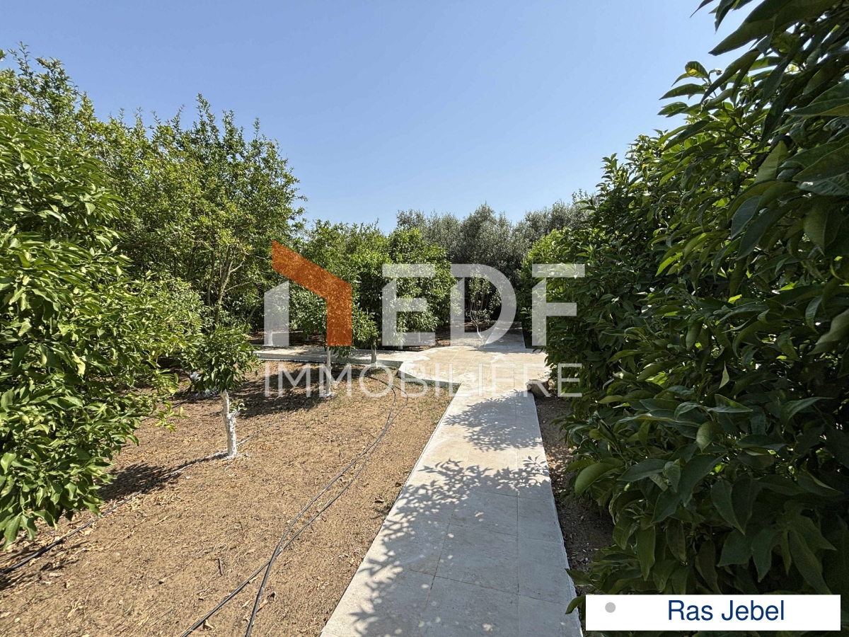 Ras Jebel&nbsp;Ras Jebel&nbsp;Vente&nbsp;Autre&nbsp;Maison avec senia � ras jebel bizerte