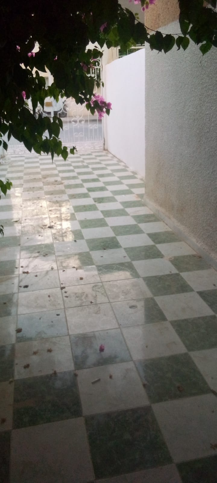 Ain Zaghouan&nbsp;Ain Zaghouan&nbsp;Location&nbsp;Appart. 1 pi�ce&nbsp;S0 au rdc ussage bureautique ou habitation