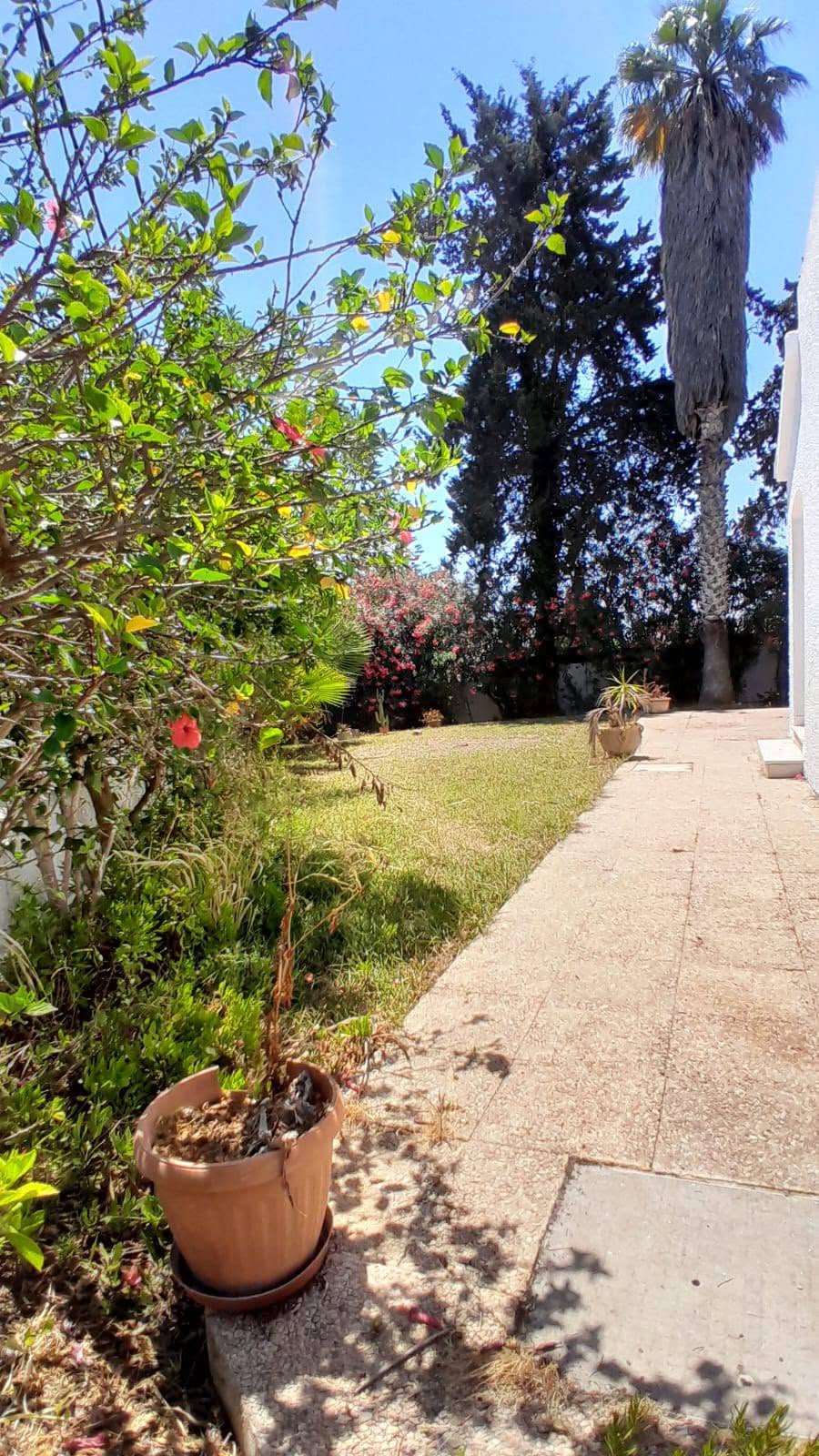 La Marsa&nbsp;Gammart&nbsp;Location&nbsp;Maisons&nbsp;Une belle villa � gammarth sup�rieur