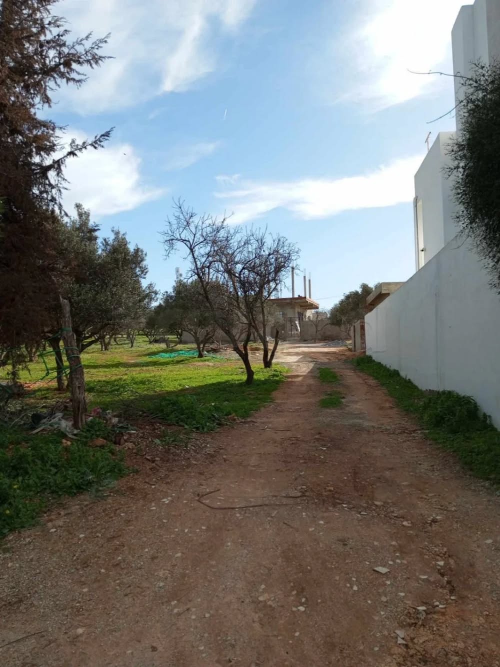 Ariana Ville&nbsp;Ariana&nbsp;Terrain&nbsp;Terrain agricole&nbsp;Jinen ennacer