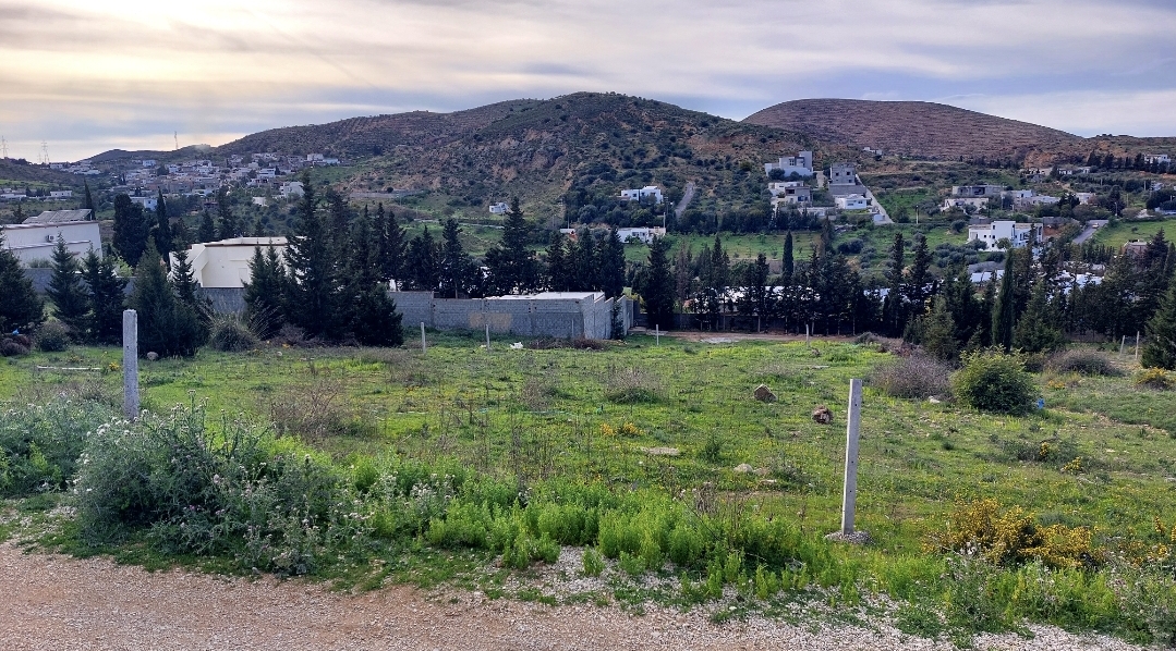 Sidi Thabet&nbsp;Jabbes&nbsp;Terrain&nbsp;Terrain nu&nbsp;Terrain 1000m jabbes