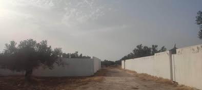 Akouda&nbsp;Chatt Meriem&nbsp;Terrain&nbsp;Terrain agricole&nbsp;Agr�able terrain rmila chatt mariem mall of sousse