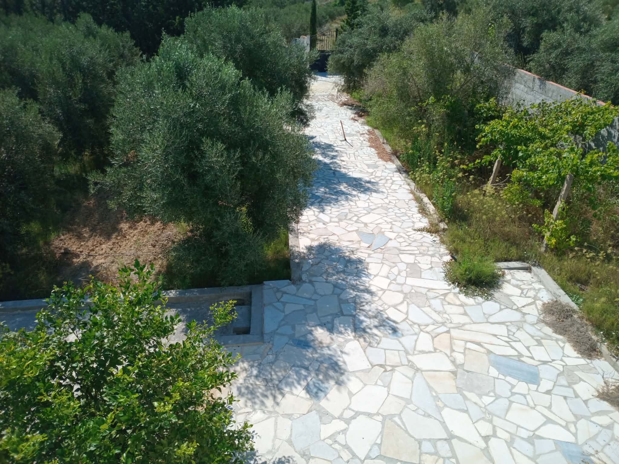 Hammam Zriba&nbsp;Bou Achir&nbsp;Terrain&nbsp;Terrain agricole&nbsp;Bonne occasion