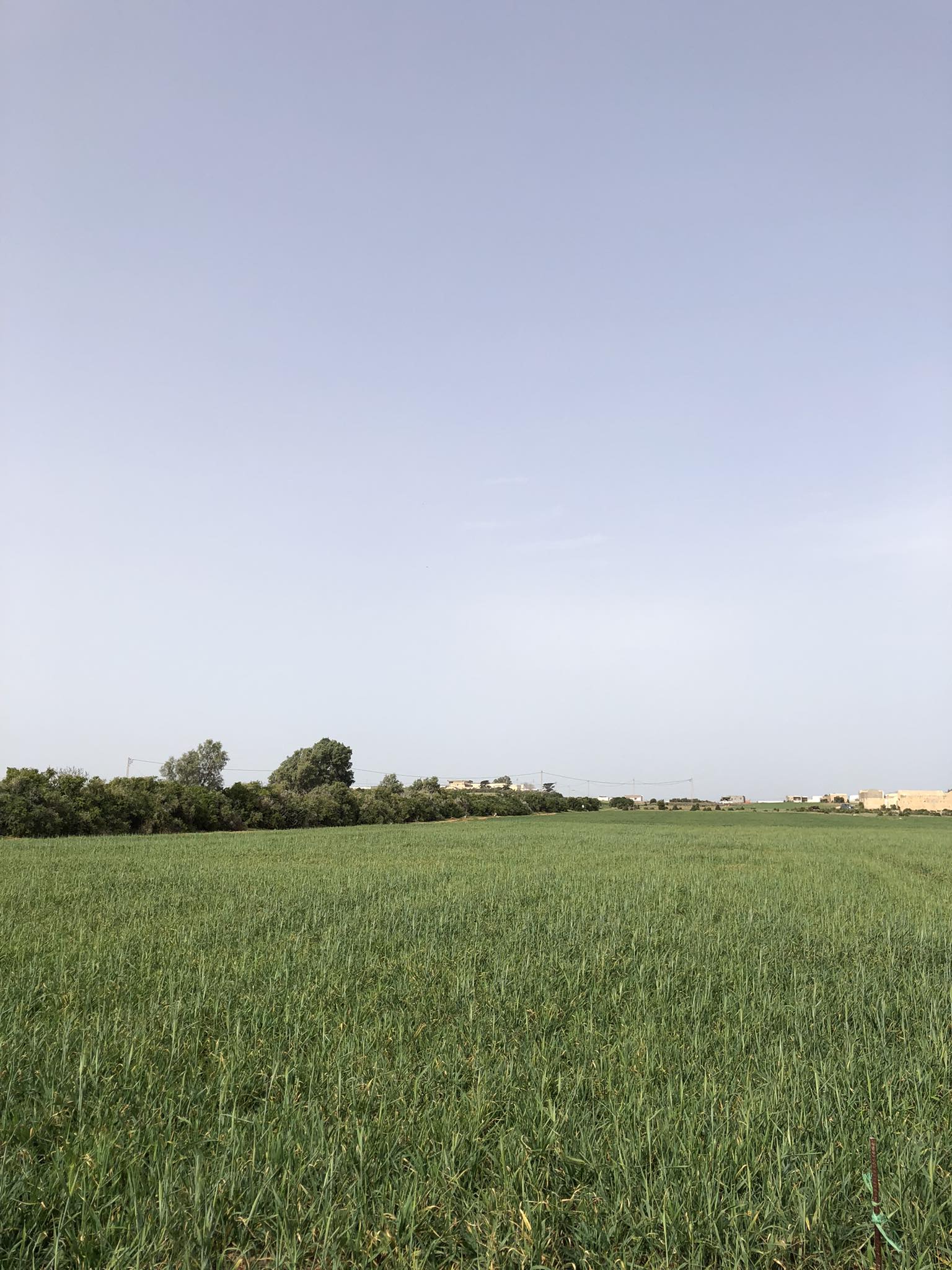 Menzel Temime&nbsp;Lebna&nbsp;Terrain&nbsp;Terrain nu&nbsp;Lots de terrains lebna plage