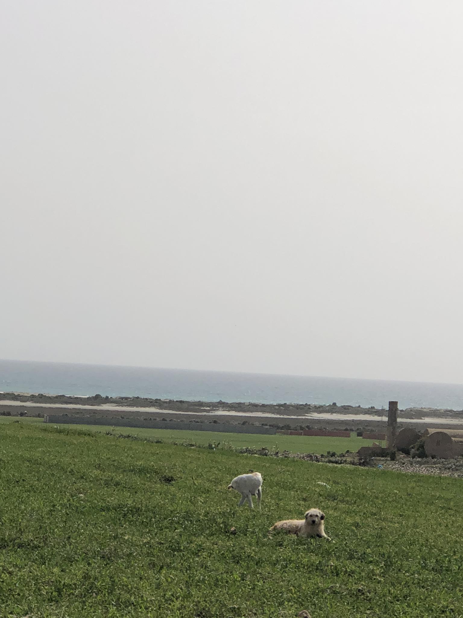 Menzel Temime&nbsp;Lebna&nbsp;Terrain&nbsp;Terrain nu&nbsp;Lots de terrains lebna plage