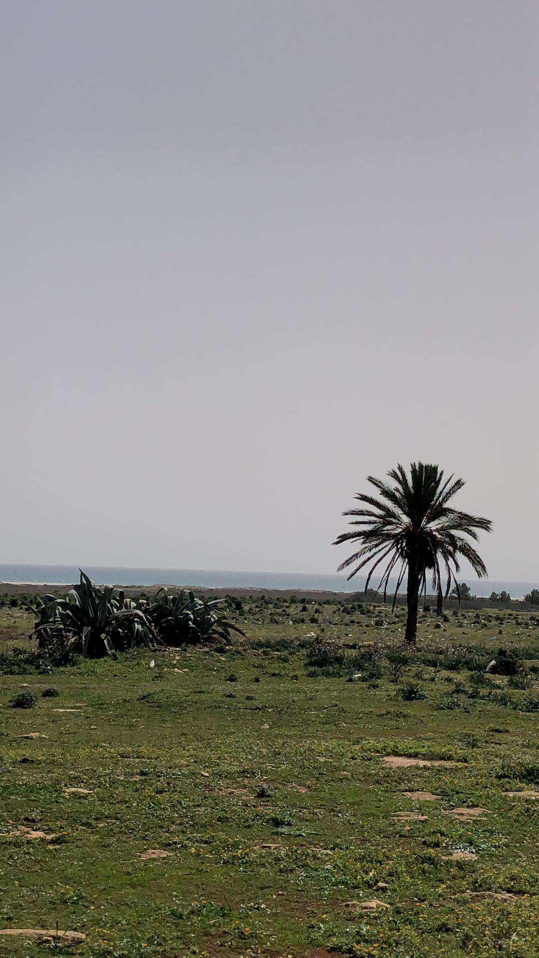 Menzel Temime&nbsp;Lebna&nbsp;Terrain&nbsp;Terrain nu&nbsp;Lots de terrains lebna plage