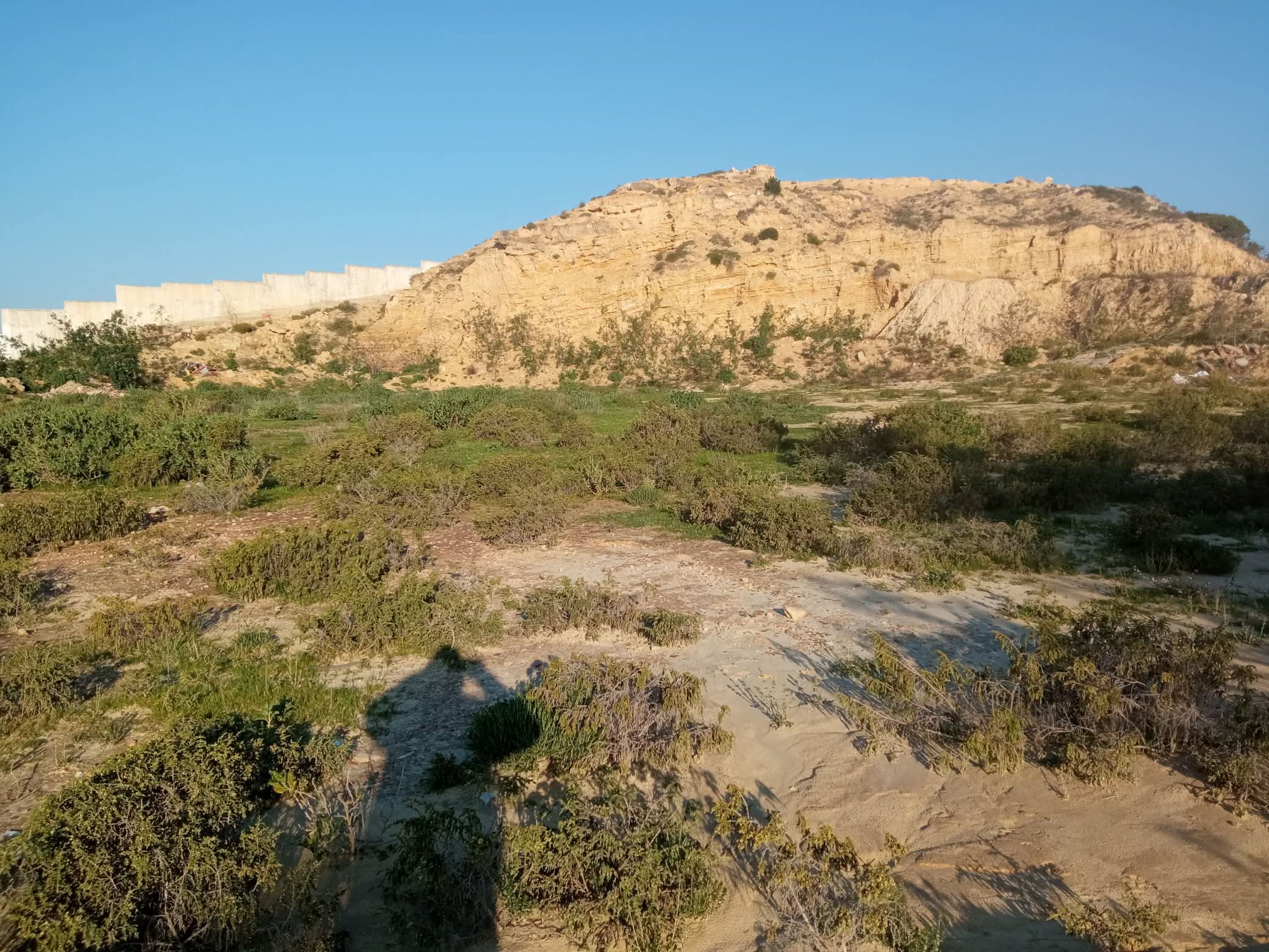 Hammamet&nbsp;Cite Erriadh&nbsp;Terrain&nbsp;Terrain nu&nbsp;Terrain � b�tir