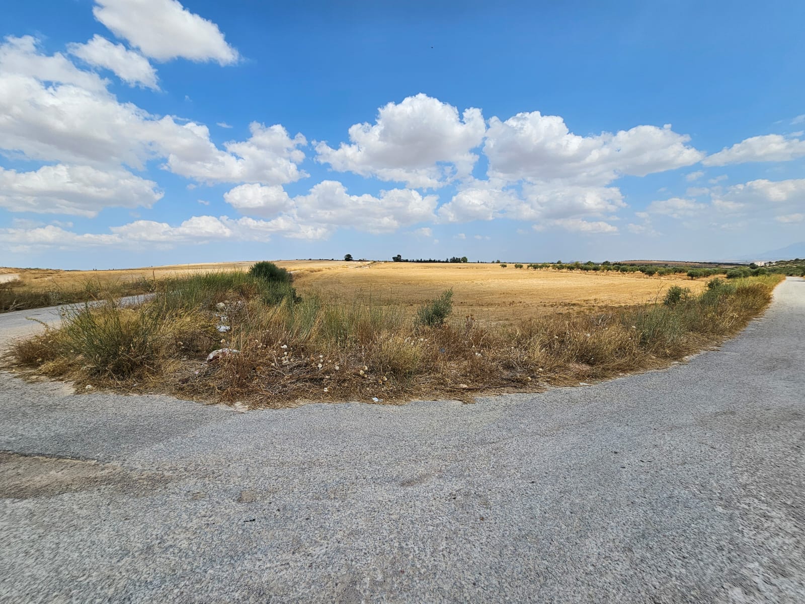 Bir Mcherga&nbsp;Ain El Asker&nbsp;Terrain&nbsp;Terrain agricole&nbsp;Terrain nu � 40 km du centre ville