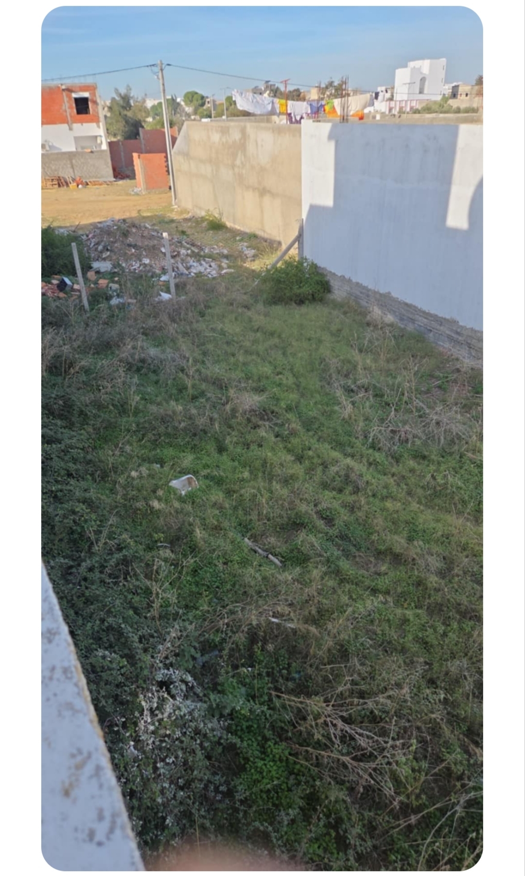 Beni Khalled&nbsp;Cite Des Jeunes&nbsp;Terrain&nbsp;Terrain nu&nbsp;Terrain constructible