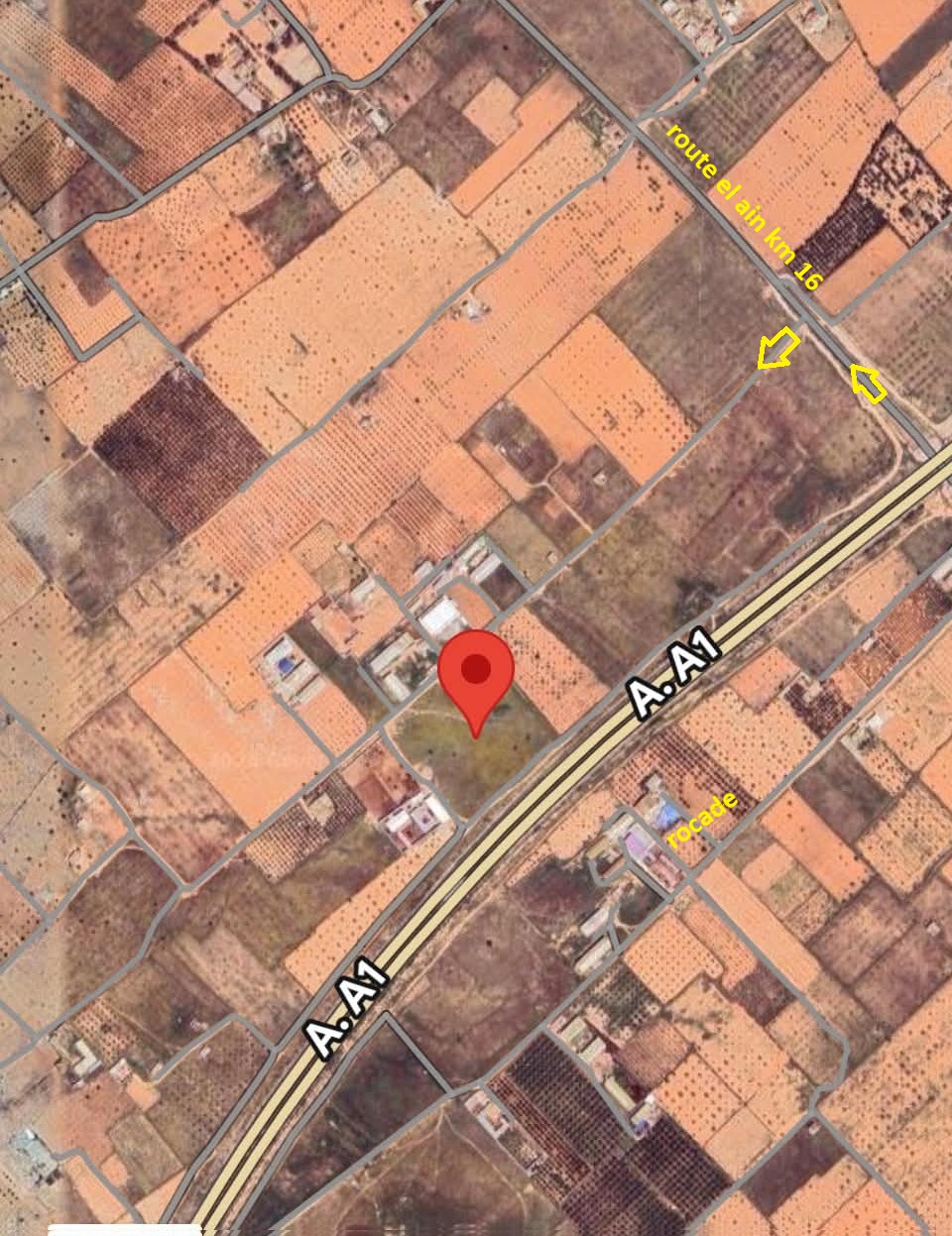 Sfax Sud&nbsp;El Ain&nbsp;Terrain&nbsp;Terrain agricole&nbsp;Terrain agricole route el ain km 16