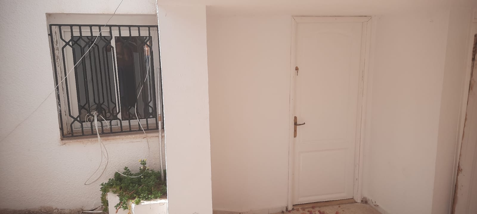 Ariana Ville&nbsp;Cite Ennasr 2&nbsp;Location&nbsp;Appart. 2 pi�ces&nbsp;L studio 2c rezjardin renedescartes collegeennasr2