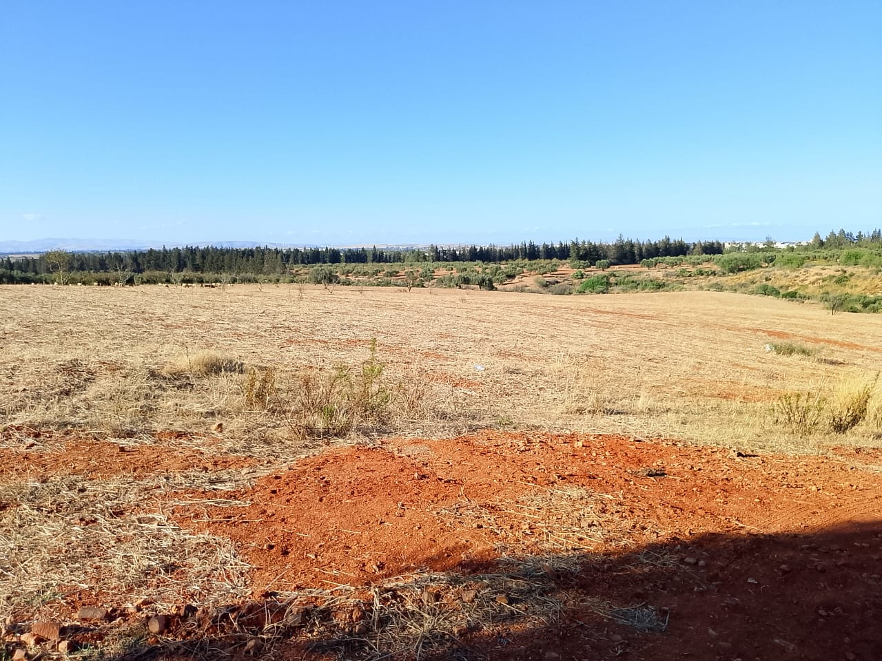 Sidi Thabet&nbsp;Sidi Thabet&nbsp;Terrain&nbsp;Terrain agricole&nbsp;Terrain de 1 hectare � sidi thabet jabbes