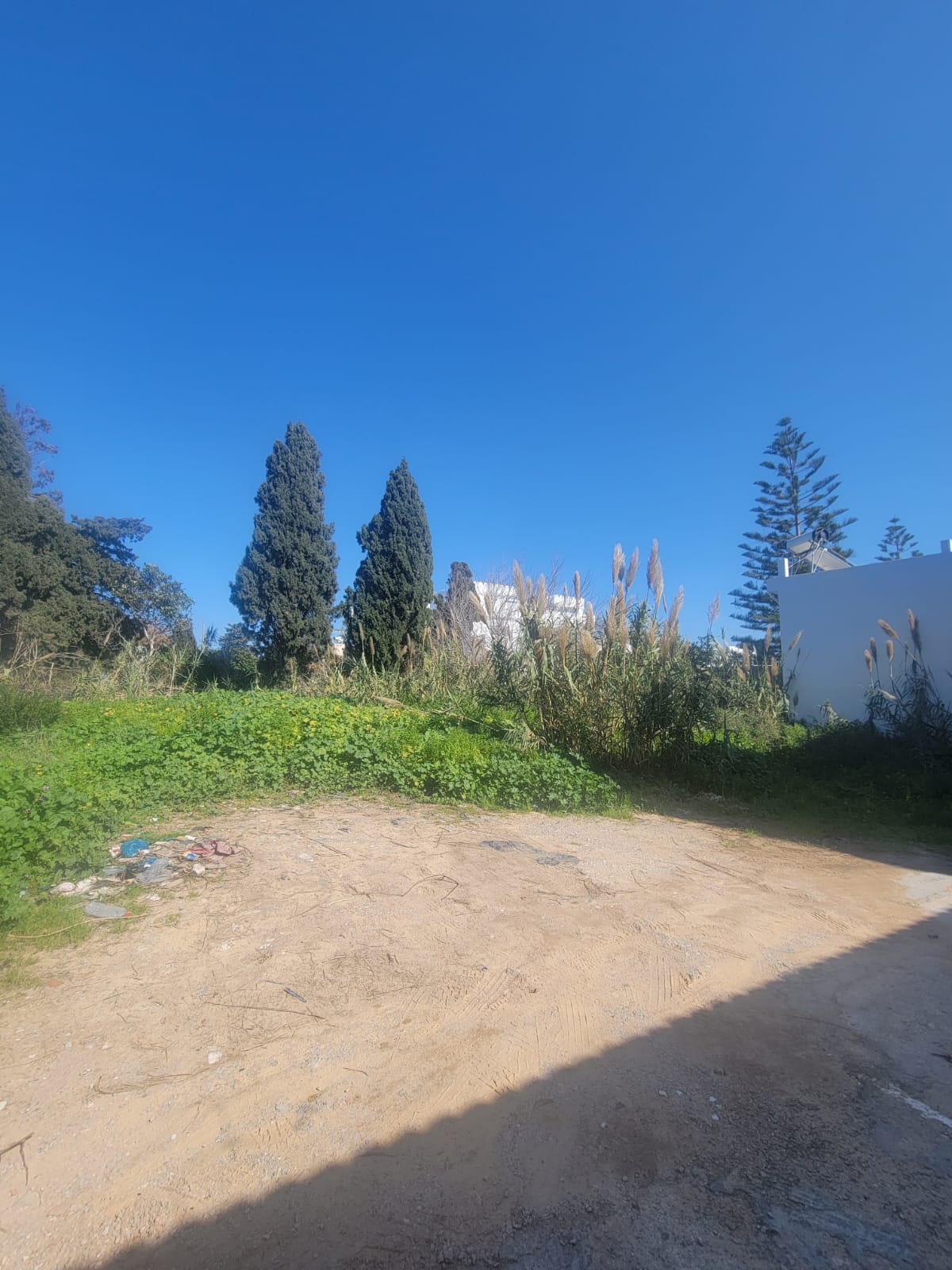Bizerte Nord&nbsp;Cite El Korniche 1&nbsp;Terrain&nbsp;Terrain nu&nbsp;Terrain urbain � corniche